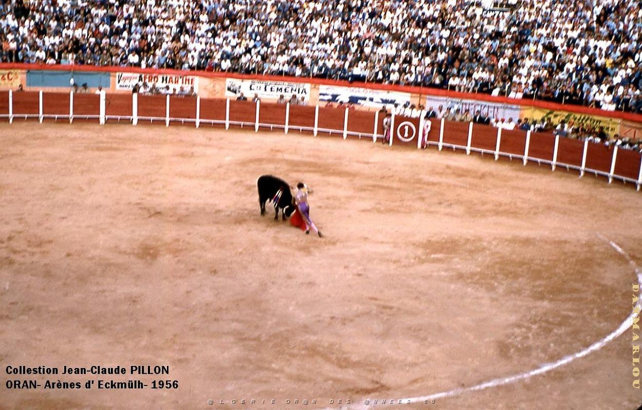 Oran- Arenes d' Eckmulh 29.jpg